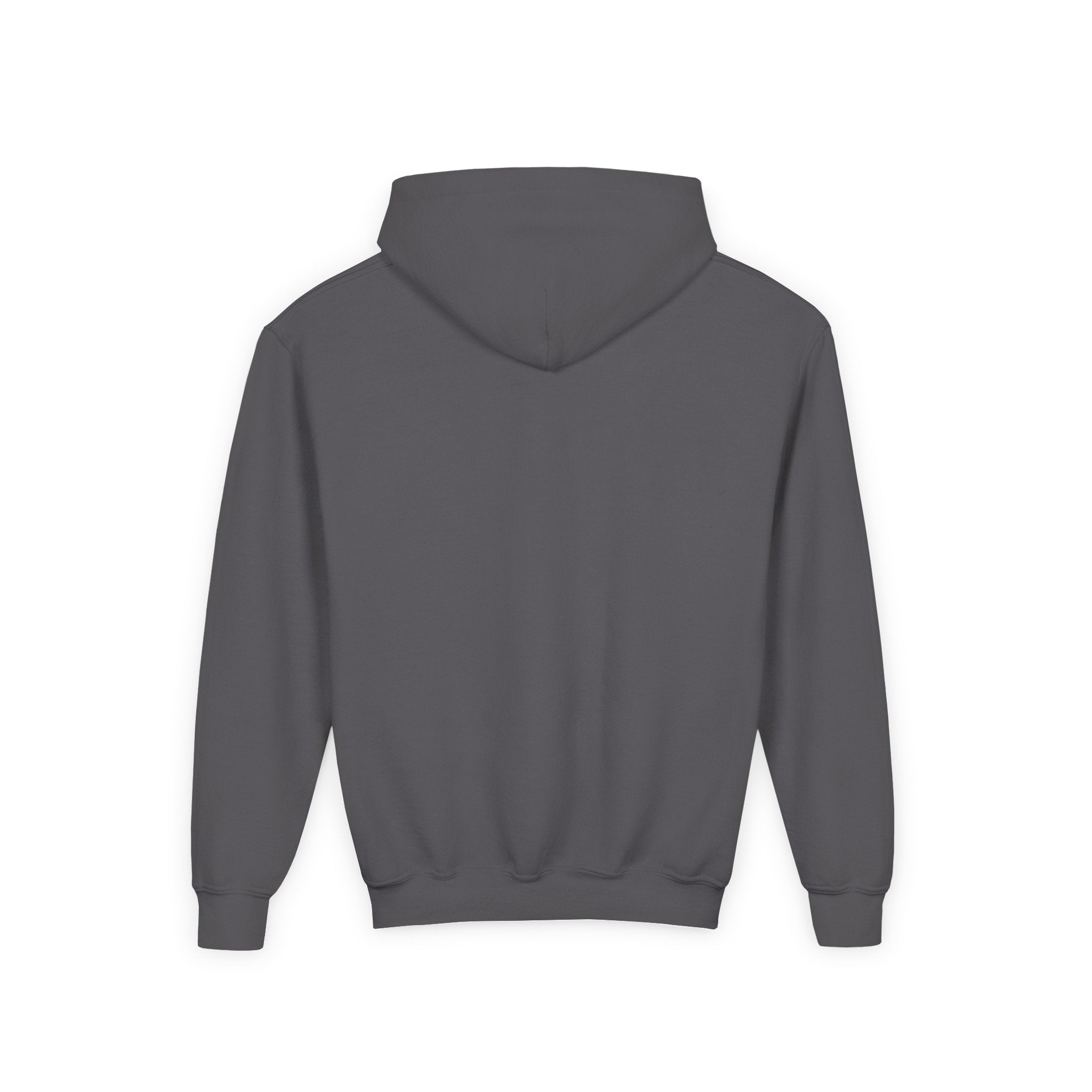 Youth Hoodie