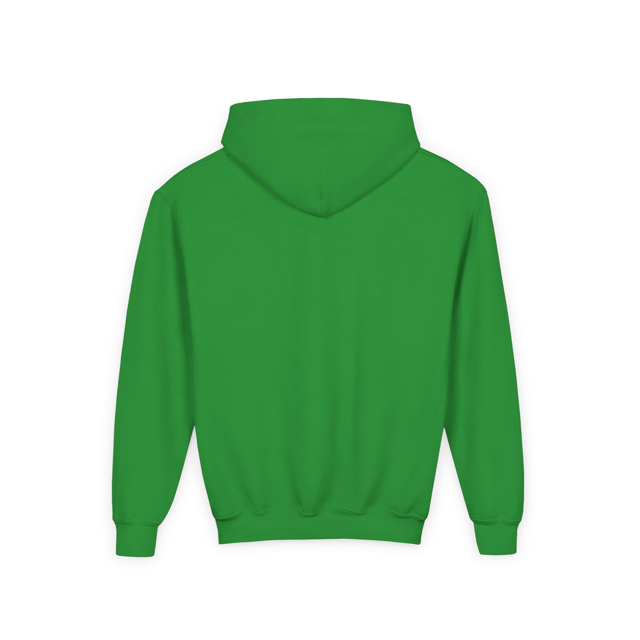 Youth Hoodie
