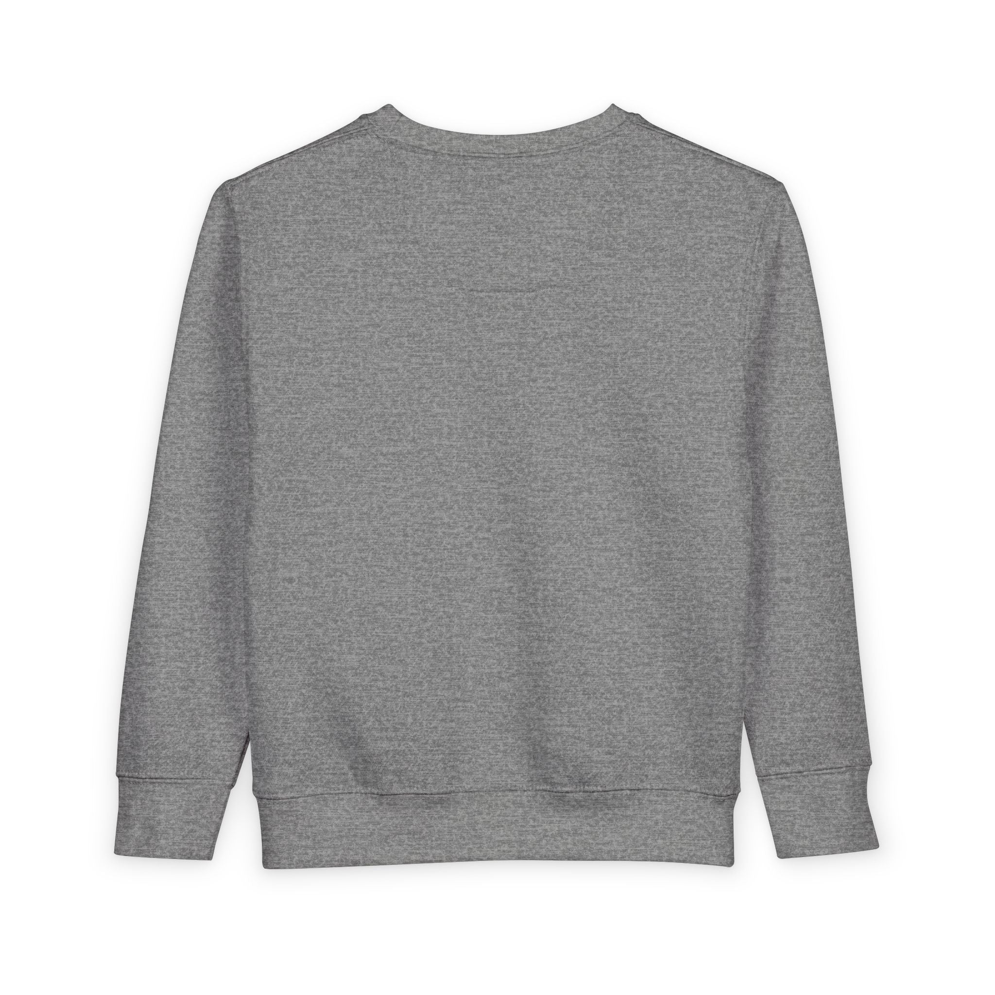 Align Toddler Sweatshirt