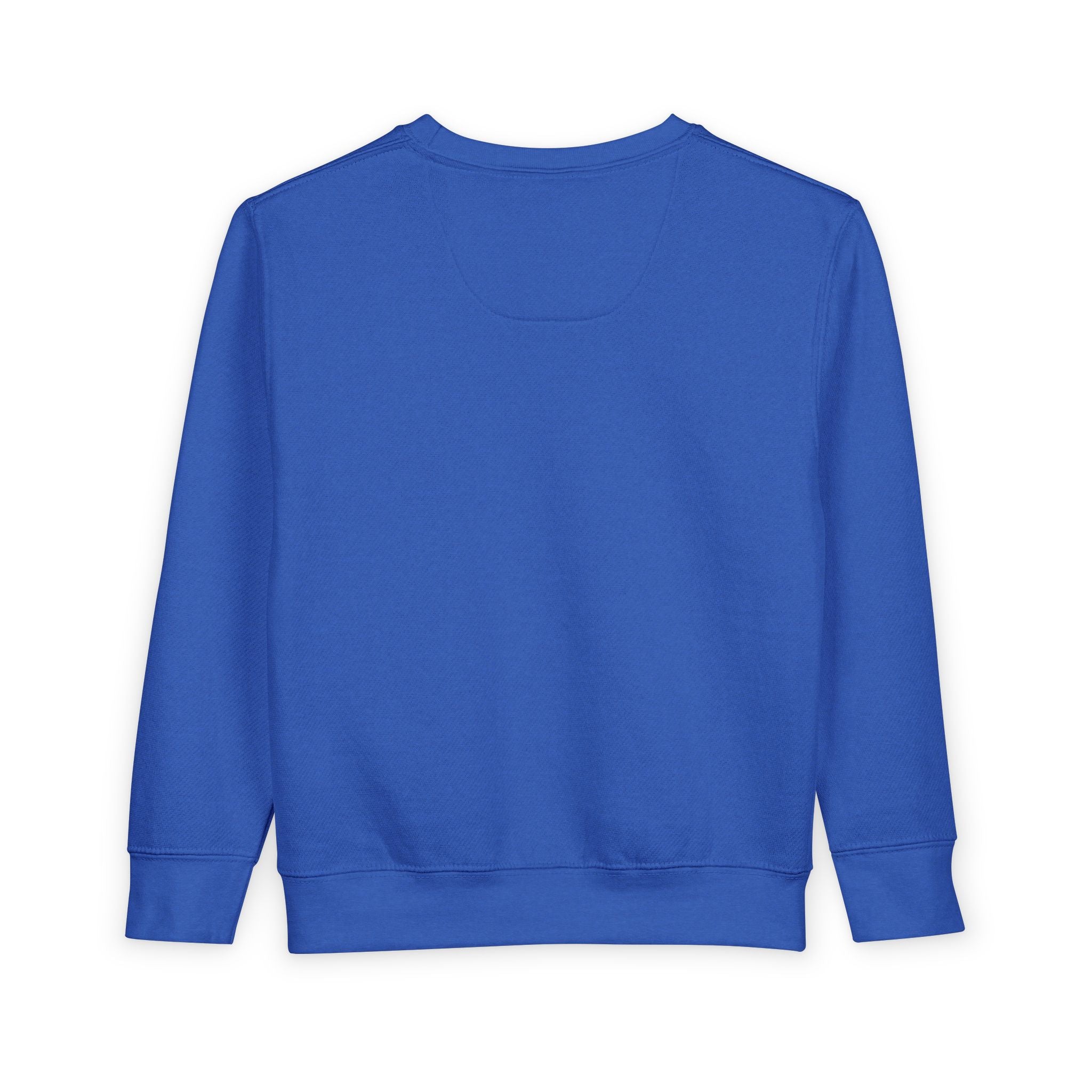 Align Toddler Sweatshirt