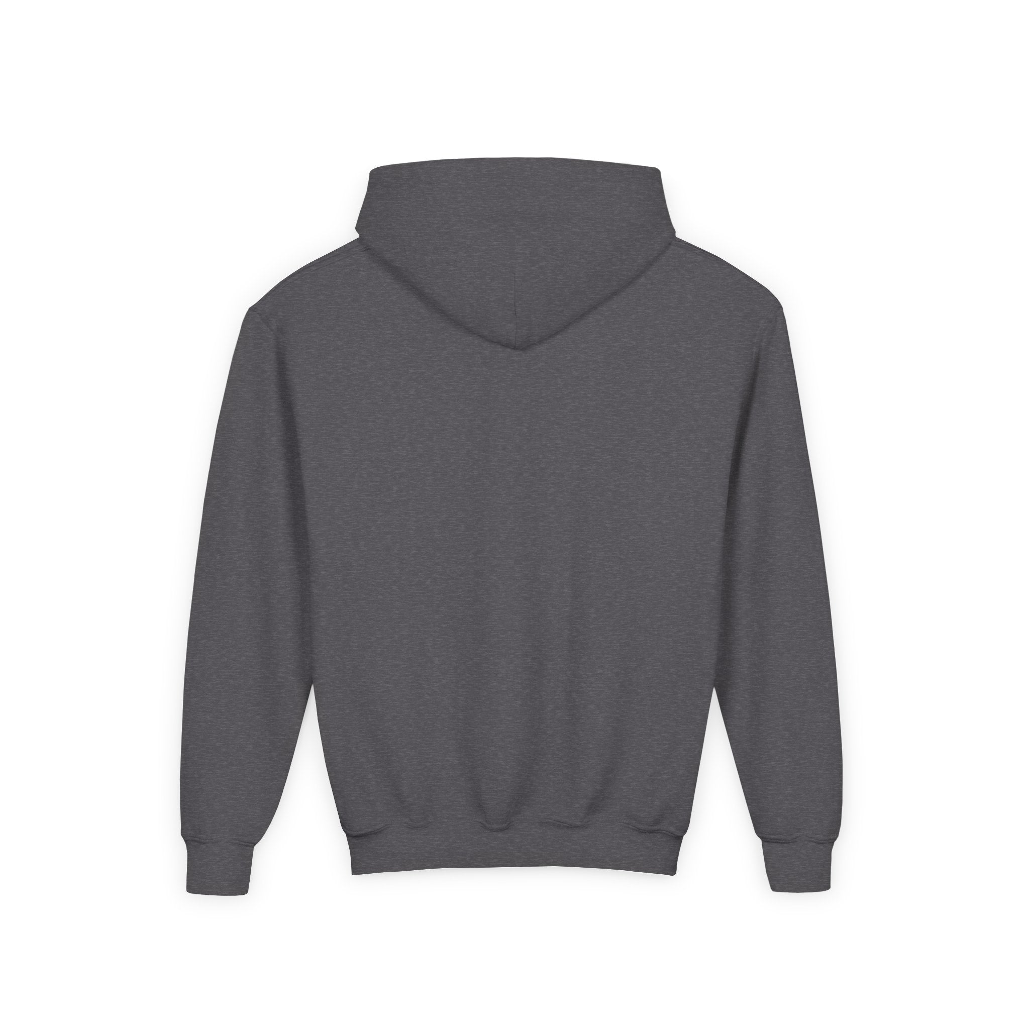 Youth Hoodie